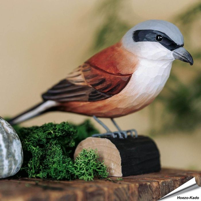 Houtgesneden vogel in de vorm van een Grauwe klauwier is een mooie decoratie waar het hele gezin dol op zal zijn ✔️ Levensecht vorm- en kleur gegeven model ➤ Koop nu online bij Aniculis