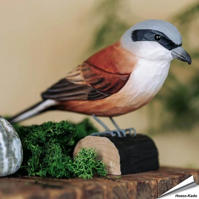 Houtgesneden vogel in de vorm van een Grauwe klauwier is een mooie decoratie waar het hele gezin dol op zal zijn ✔️ Levensecht vorm- en kleur gegeven model ➤ Koop nu online bij Aniculis