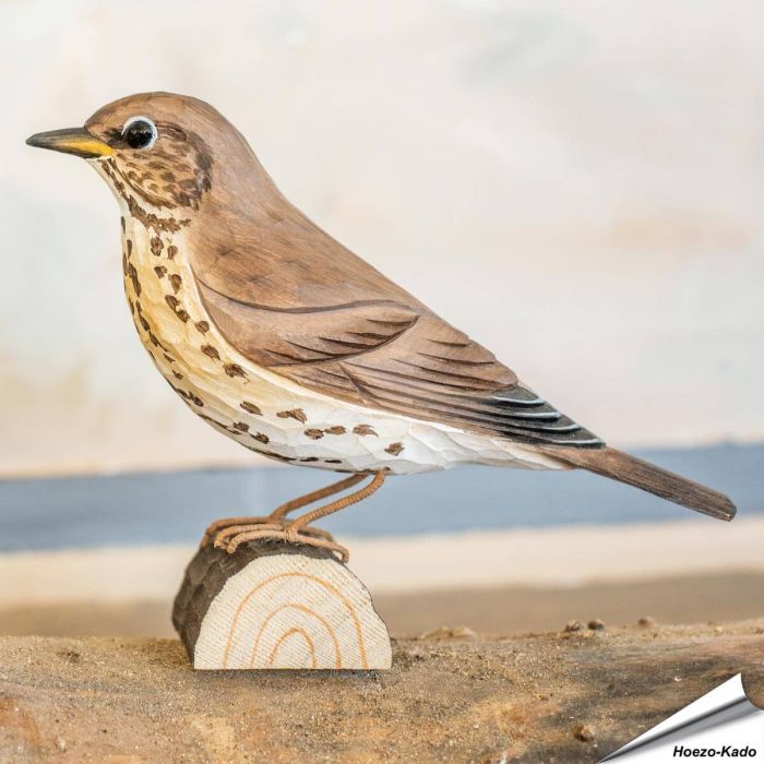 Zanglijster (Turdus philomelos) - Decobird van Wildlife Garden - Koop online op Aniculis