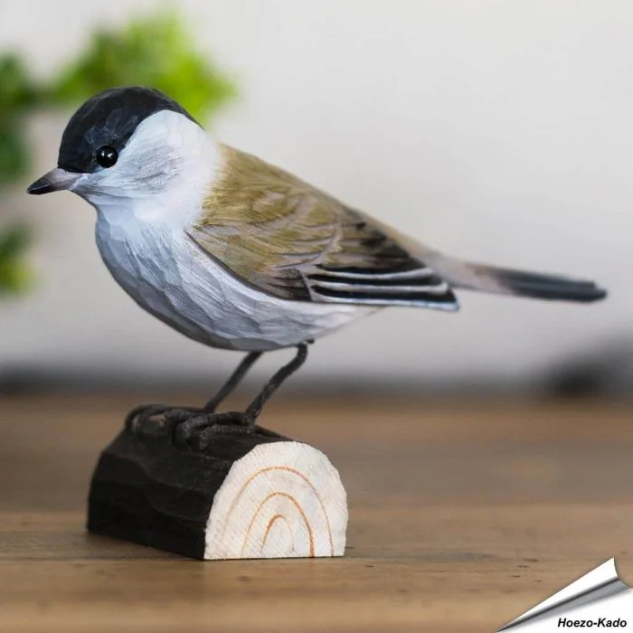 Zwartkop (Sylvia atricapilla) - Decobird van Wildlife Garden - Koop online op Aniculis
