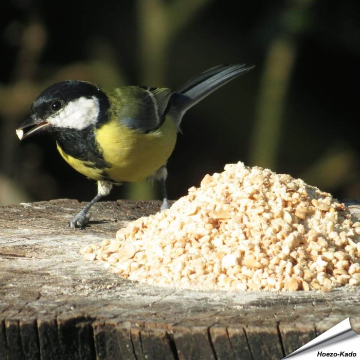 Fijn gehakte Premium pinda's (2 kg) | Aniculis.nl