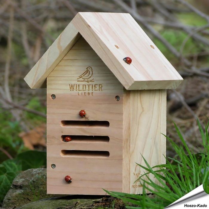 Creëer een natuurlijke pestbestrijding met deze charmante toevoeging aan je buitenruimte ✔️Voor Lieveheersbeestjes ✔️ Een must-have voor ieder met een hart voor de Tuin ➤ Koop nu in onze online shop!