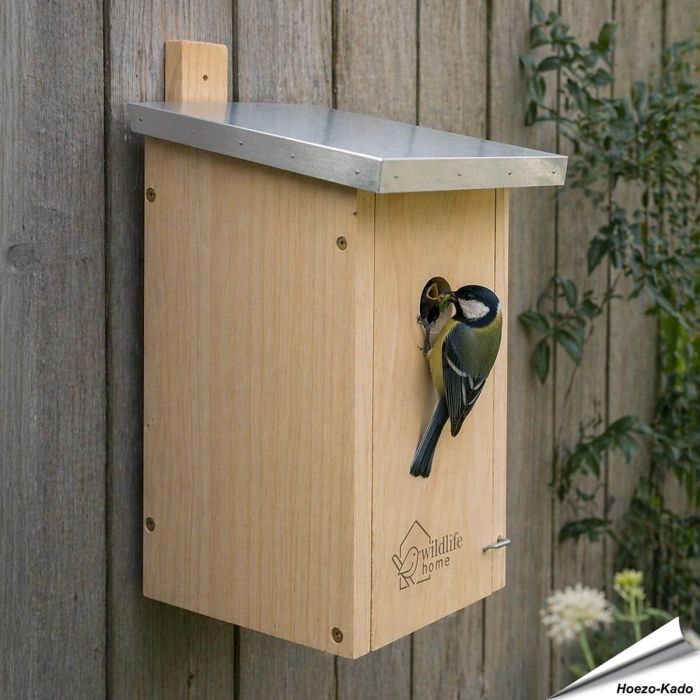 Mezennestkast voor koolmezen (32mm) | Aniculis Shop