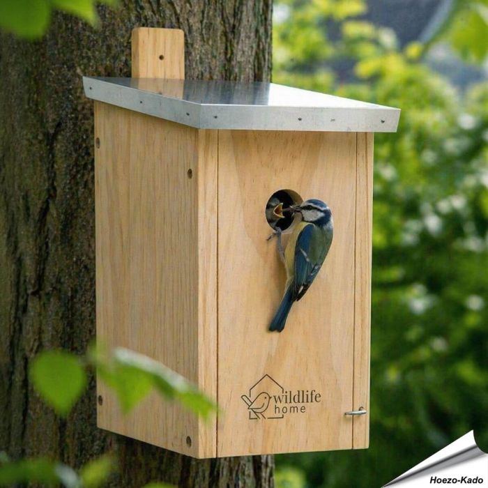 De Mezennestkast hangt aan een boom in de tuin, een veilige nestkast voor kleine vogels.
