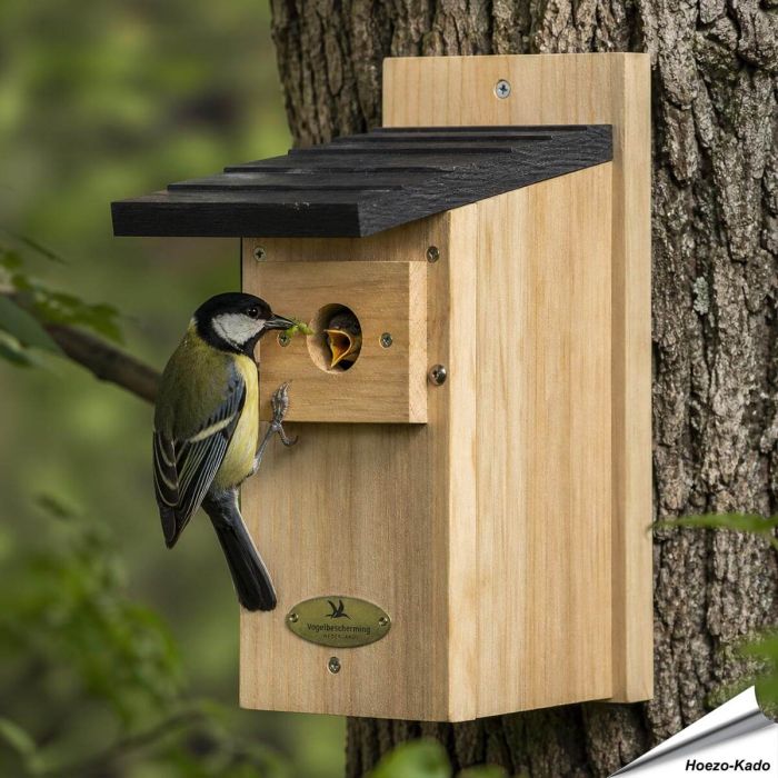 Houten nestkast met 32 mm opening voor koolmees & andere mezen ✔️ FSC-hout ✔️ Goede isolatie ➤ Veilige broedplek voor tuinvogels bij Aniculis
