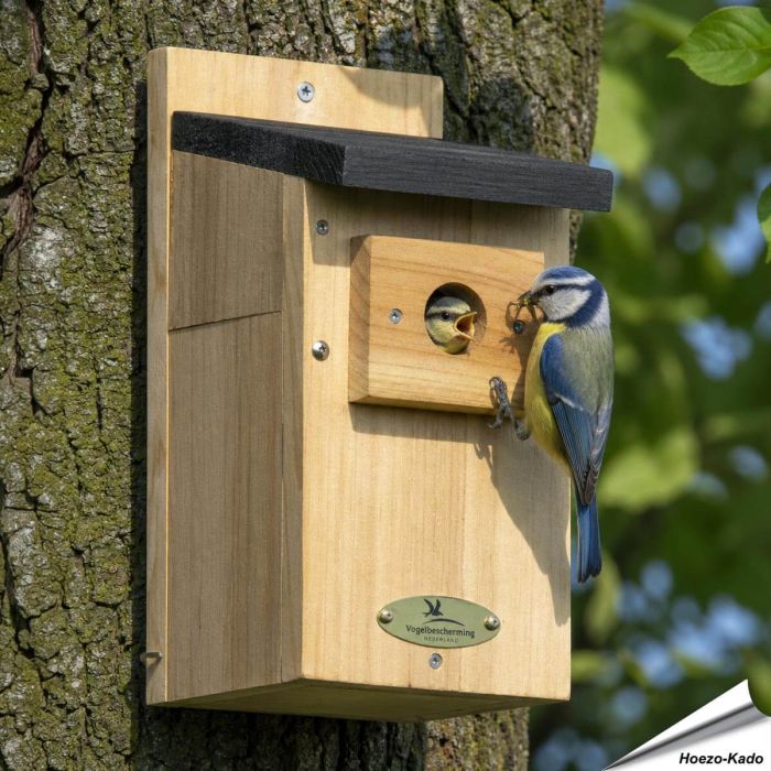 Houten nestkast met 28mm opening voor pimpelmees & andere mezen ✔️ FSC-hout ✔️ Goede isolatie ➤ Veilige broedplek voor tuinvogels