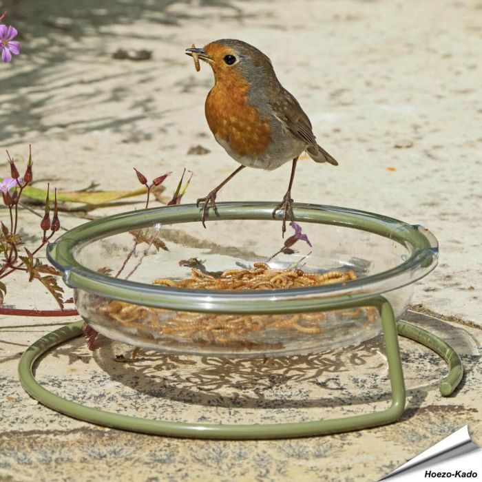 Voedertafel I Love Robins voor vogels ✔️ Stevig en duurzaam materiaal ✔️ Gemakkelijk te onderhouden ✔️ Ideaal voor kleine tuinvogels ➤ Bestel op www.aniculis.nl