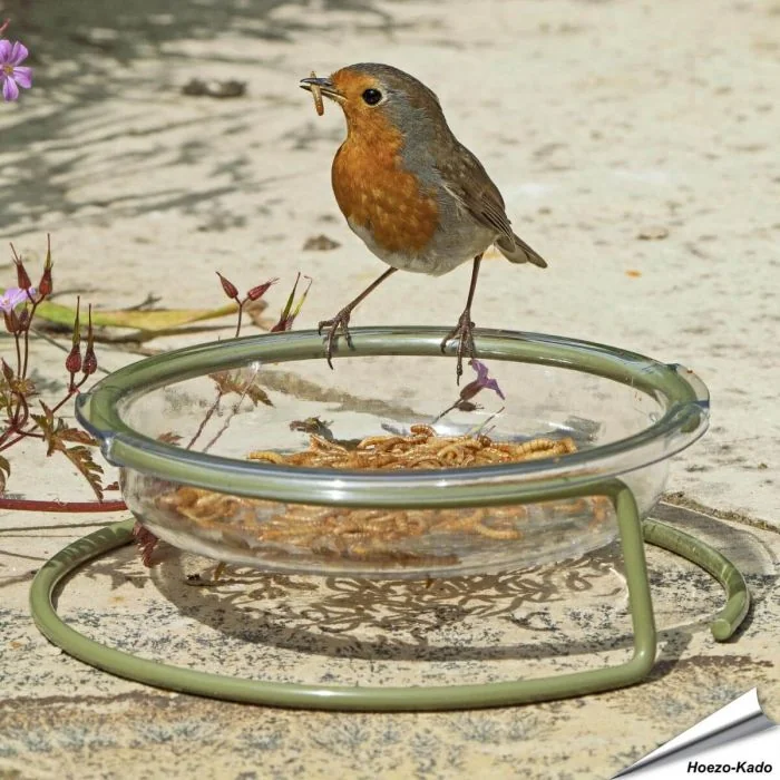 Voedertafel I Love Robins voor vogels ✔️ Stevig en duurzaam materiaal ✔️ Gemakkelijk te onderhouden ✔️ Ideaal voor kleine tuinvogels ➤ Bestel op www.aniculis.nl