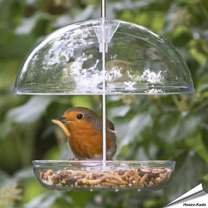 I love Robins - Pearl feeder