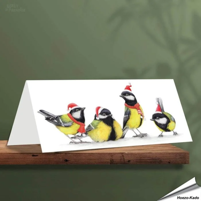 Kerstkaart met leuke koolmezen - Voor natuurliefhebbers - www.aniculis.nl