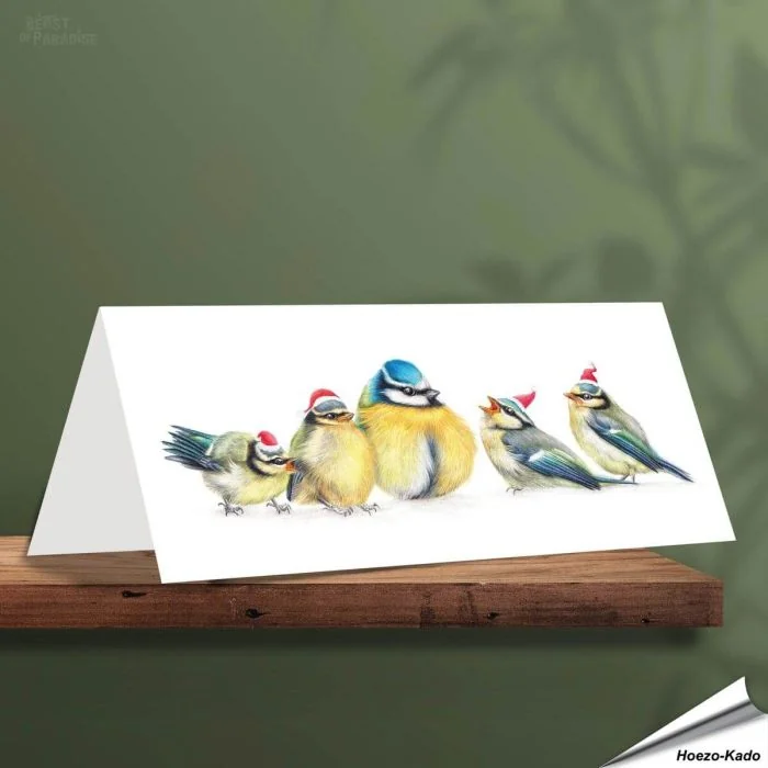 Kerstkaart met leuke pimpelmezen - Voor natuurliefhebbers - www.aniculis.nl
