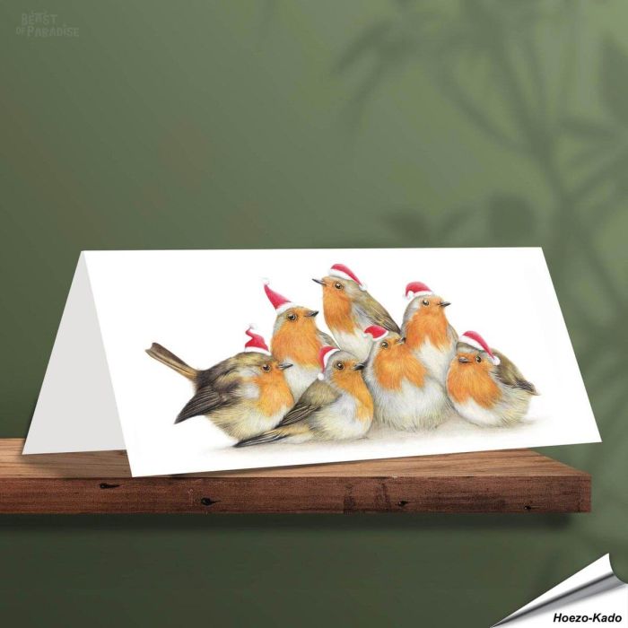 Kerstkaart met leuke Roodborstjes - Voor natuurliefhebbers - www.aniculis.nl