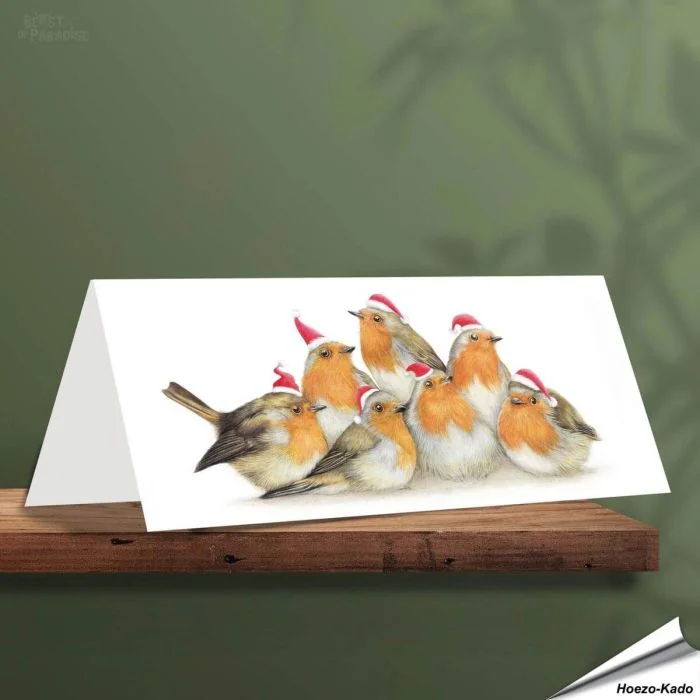 Kerstkaart met leuke Roodborstjes - Voor natuurliefhebbers - www.aniculis.nl