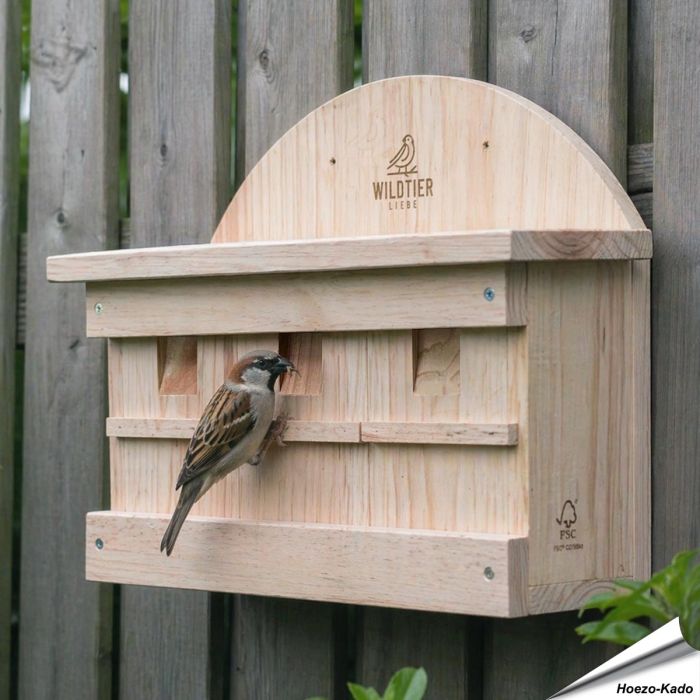 Nestkast voor huismussen en ringmussen ✔️ Onbehandeld massief hout ✔️ 3 ruime nestkamers met aparte openingen ✔️ FSC-hout ➤ Koop nu bij www.aniculis.nl