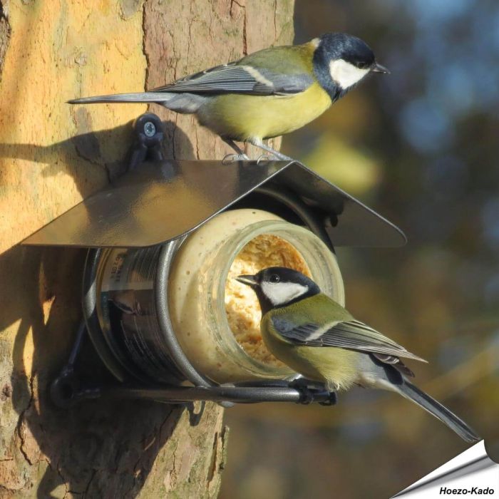 Metaaldraad Pindakaaspothouder voor potjes vogelpindakaas - Aniculis