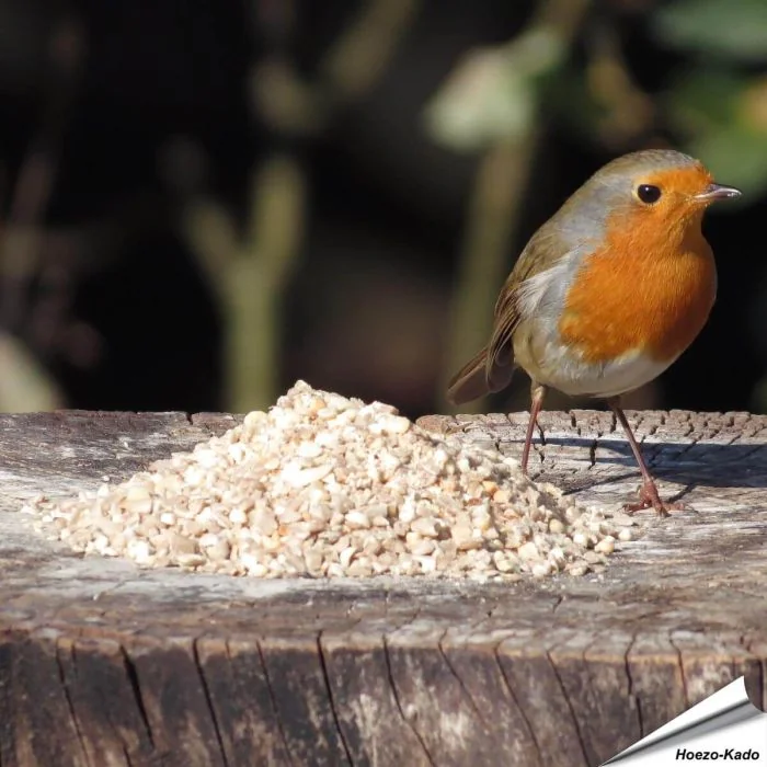 Hoogwaardig wildvogelvoer speciaal voor kleine vogelsoorten ✔️ Met zonnebloemkernen en gehakte pinda’s ✔️ Het hele jaar door voeren ➤ Bestel nu direct op www.aniculis.nl