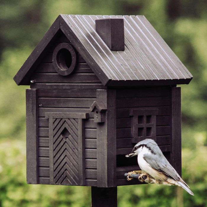 Multiholk Carbon Black van Wildlife Garden ✔️ Nestkast en voederhuis in 1 ✔️ Voor kleine tuinvogels ✔️ Geïnspireerd op Scandinavische architectuur ➤ Aniculis