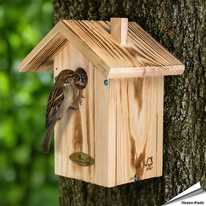 Nestkast Anson ✔️ 34 mm opening voor mussen & boomklever ✔️ FSC 100% hout ✔️ Aanbevolen door Vogelbescherming ➤ Bestel op www.aniculis.nl