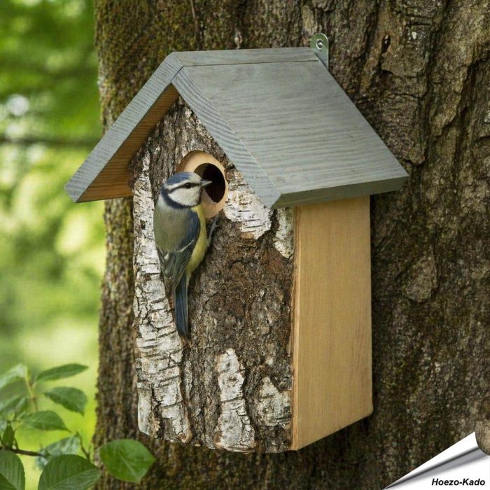 Berken nestkast met natuurlijke uitstraling ✔️ Bootst een natuurlijke boomholte na ✔️ Ideaal voor tuinvogels zoals de pimpelmees ➤ Ontdek meer bij Aniculis