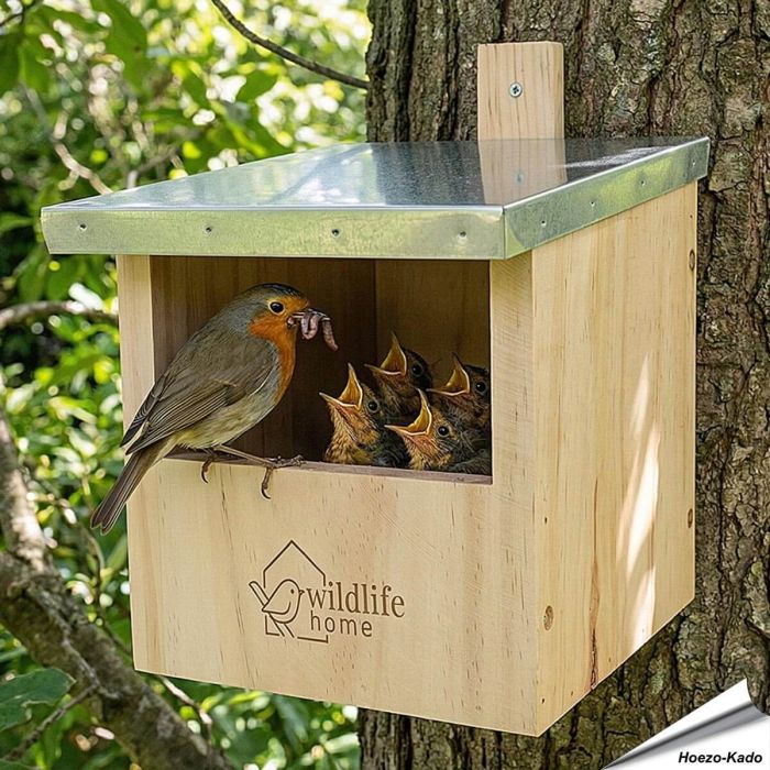 Nestkast voor roodborstjes: help deze vogels een nestje te bouwen! Aniculis