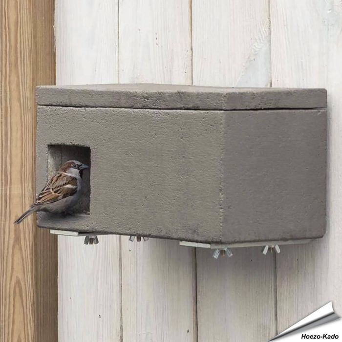 Mussenloft nestkast voor huismussen ✔️ Nestkamer en terras, houtbeton en extra bescherming tegen roofdieren ✔️ Gevelmontage ➤ Aniculis Shop