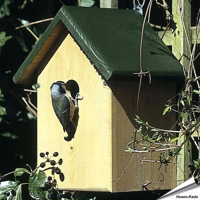 Nestkast Oklahoma voor de Boomklever | Aanbevolen door Vogelbescherming Nederland - Aniculis