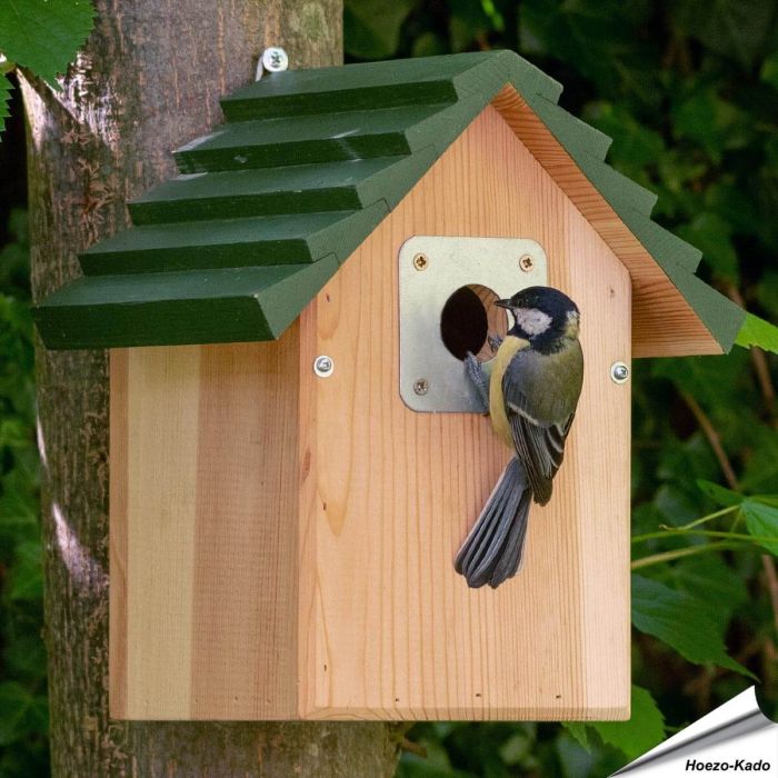 Nestkast Vail met 32 mm opening ✔️ Voor mezen, boomklevers en bonte vliegenvangers ✔️ Steun Vogelbescherming met je aankoop ➤ Aniculis Shop