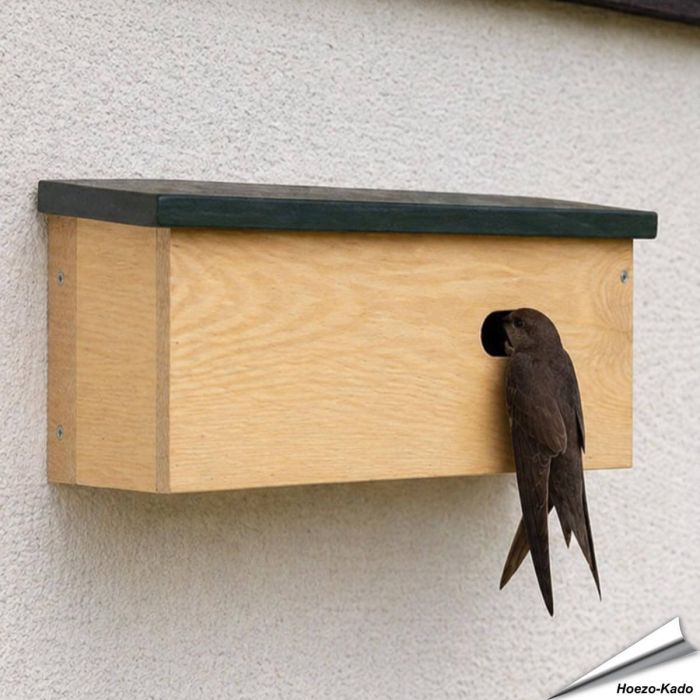 Speciale nestkast voor de gierzwaluw ✔️ Ovale invliegopening (60 x 30 mm) ✔️ FSC-gecertificeerd hout ✔️ Eenvoudig te plaatsen en reinigen ✔️ Koop bij Aniculis