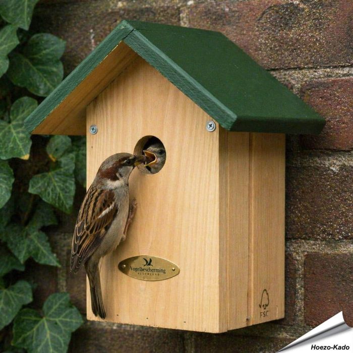 Nestkast huismus "Week van de Nestkast" ✔️ Aanbevolen door Vogelbescherming NL en SOVON ✔️ FSC-gecertificeerd hout ✔️ Mooie geschenkdoos ✔️ Koop bij Hoezo-Kado
