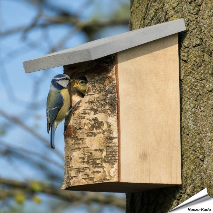 Berken nestkast met natuurlijke uitstraling ✔️ Bootst een natuurlijke boomholte na ✔️ Ideaal voor tuinvogels zoals de koolmees ➤ Ontdek meer bij Aniculis