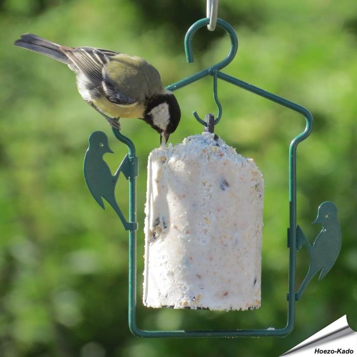 Pindacakehanger voor Vogel-Pindacakes - Aniculis.nl