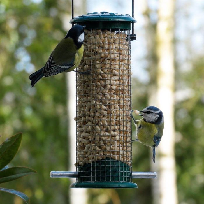 Kunststof pindasilo voor wilde vogels ✔️ Duurzaam en stevig metaal ✔️ Ontworpen voor pinda's / vet traktaties ➤ Bestel op www.aniculis.nl