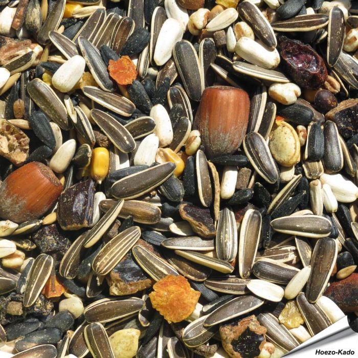 Premium Eekhoorn voer - Puur plantaardig (1 kg)