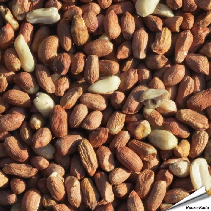 Premium pinda's (2 kg) | Aniculis.nl