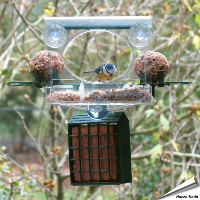 Raamvoederhuis Bolmso Deluxe PLUS Birdfeeder