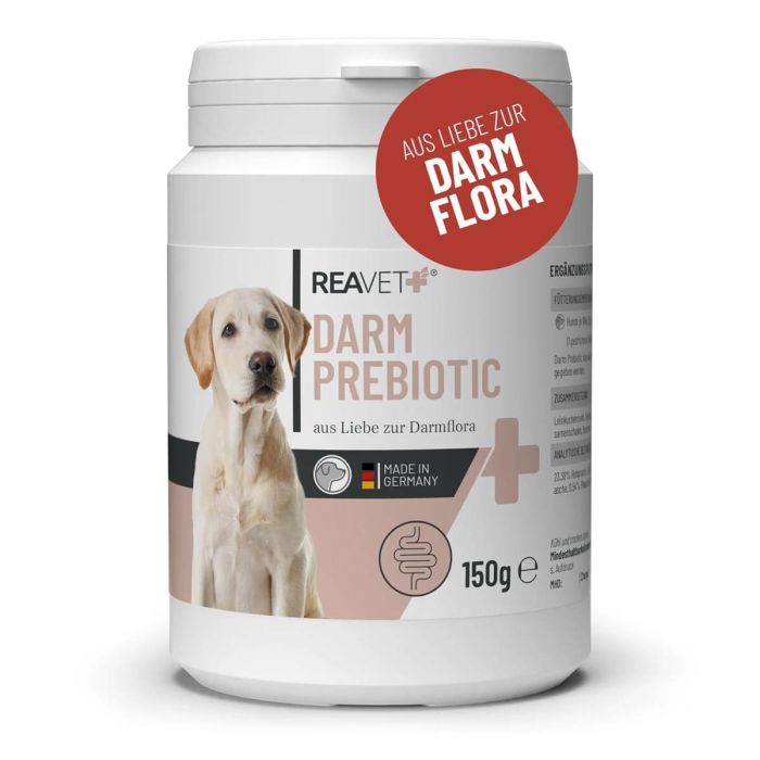 ReaVET Darm Prebiotic voor honden ondersteunt op natuurlijke wijze de darmgezondheid en spijsvertering ✔️ 100% plantaardig, zonder kunstmatige toevoegingen ✔️ Koop bij Aniculis