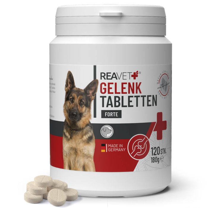 ReaVET Gewricht tabletten Forte voor Honden (120 stuks)