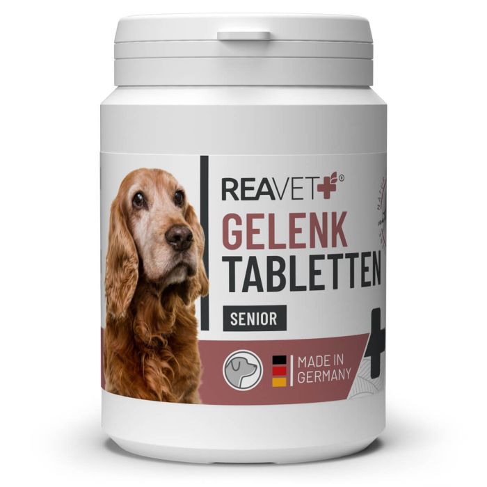 Natuurlijke gewrichtstabletten voor senior honden ✔️ Met glucosamine, MSM, groenlipmossel & rozenbottelpoeder ✔️ Soepele gewrichten en vitaliteit ➤ Aniculis Shop