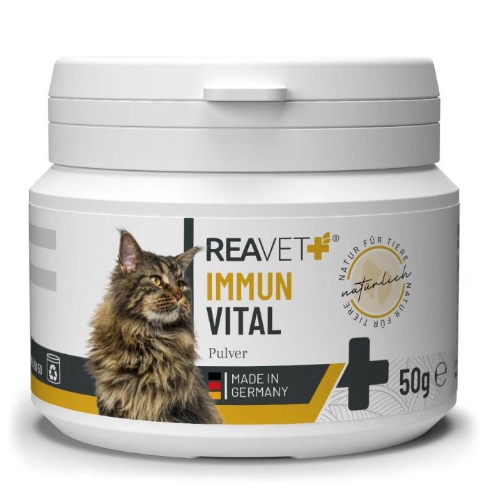 ReaVET Immuun Vitaal voor Katten (50g)