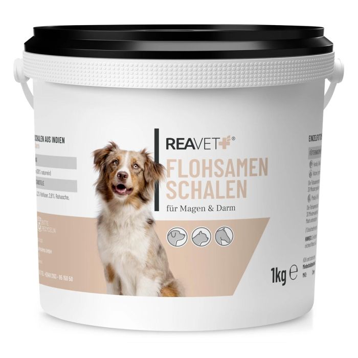 Ondersteun de darmgezondheid van paard, hond & kat met Psyllium vlozaadschillen 1000g ✔️ Natuurlijk vezelsupplement ✔️ Voor een gezonde spijsvertering