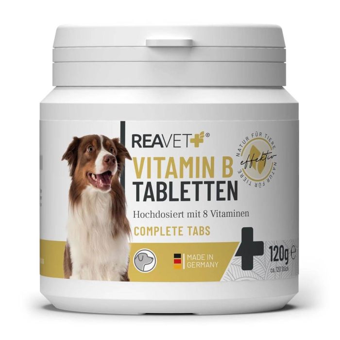 Vitamine B-tabletten voor honden van ReaVET ✔️ Met 8 belangrijke B-vitamines ✔️ Voor afweercellen en zenuwen ✔️ Ondersteunt de natuurlijke vertering ➤ Koop op www.aniculis.nl