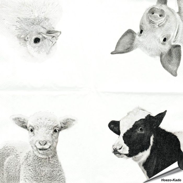 Stijlvolle servetten met koe, varken, schaap en kuiken van Esschert Design ✔️ FSC-papier, 3-laags, biologisch afbreekbaar ✔️ Perfect voor elke tafelsetting ➤ Bestel bij Aniculis
