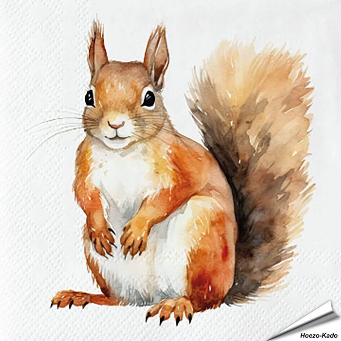 Servetten Eekhoorn | 20 stuks | FSC & 3-laags | Aniculis