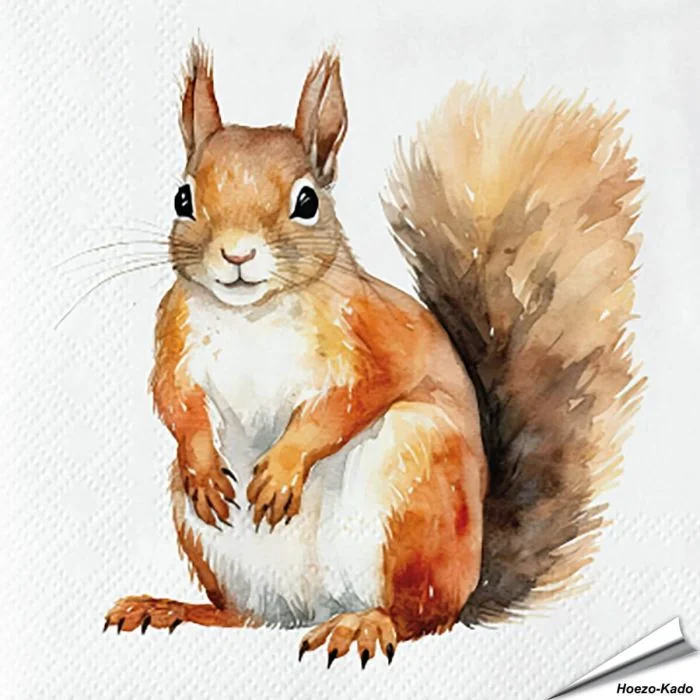 Servetten Eekhoorn | 20 stuks | FSC & 3-laags | Aniculis