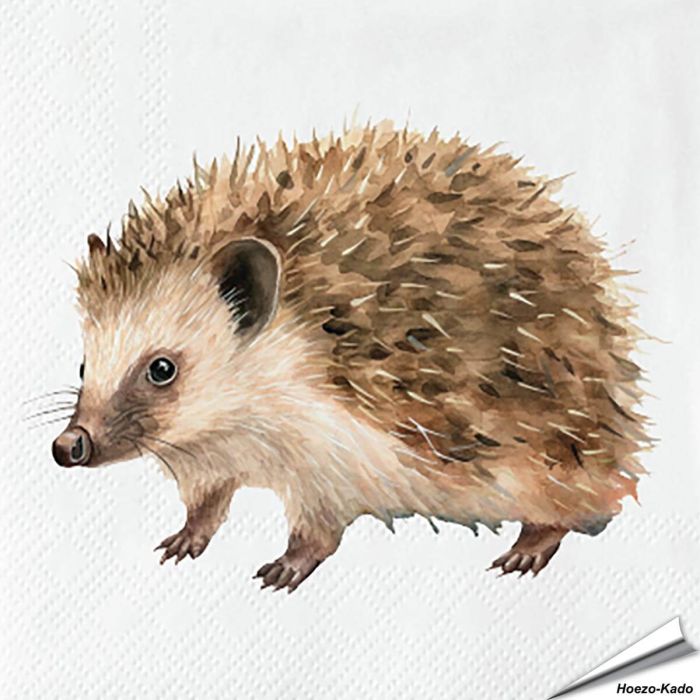 Servetten Egel | 20 stuks | FSC & 3-laags | Aniculis