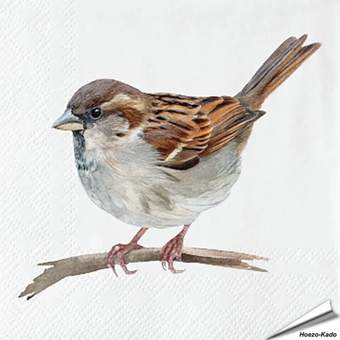 Servetten Huismus | 20 stuks | FSC & 3-laags | Aniculis