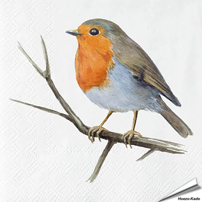 Servetten Roodborst | 20 stuks | FSC & 3-laags | Aniculis