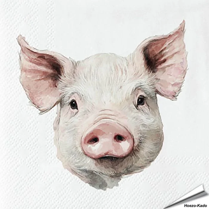 Stijlvolle servetten met een varken (boederijdier) van Esschert Design ✔️ FSC-papier, 3-laags, biologisch afbreekbaar ✔️ Perfect voor elke tafelsetting ➤ Bestel bij Aniculis