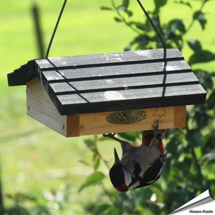 Energieblokhouder met dak ✓ Eenvoudige toegang tot voer voor behendige vogels zoals spechten, mezen, boomklevers en sijzen ✓ Stevige houtconstructie ✓ Aniculis