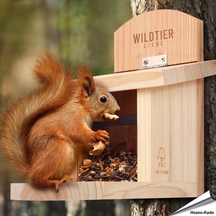 Voederhuis voor eekhoorns | FSC-gecertificeerd hout | Aniculis